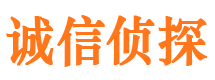 榆树侦探公司